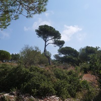 Photo de France - Sète et la plage de la Grande Conque